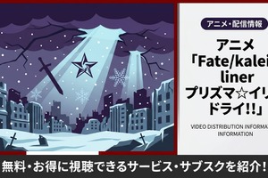 アニメ「Fate/kaleid liner プリズマ☆イリヤ ドライ!!」配信状況まとめ｜お得に視聴できるおすすめサブスクを紹介 画像