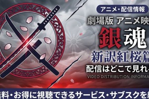 劇場版「銀魂 新訳紅桜篇」の配信はどこで見れる？見放題サービス比較 画像