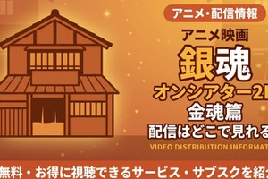 アニメ「銀魂オンシアター2D 金魂篇」の配信はどこで見れる？見放題サービス比較 画像