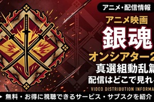 アニメ「銀魂オンシアター2D 真選組動乱篇」の配信はどこで見れる？お得に見れる動画配信サイトを紹介 画像