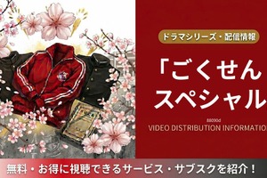 ドラマ「ごくせんスペシャル」はどこで配信？視聴できるサービスまとめ 画像