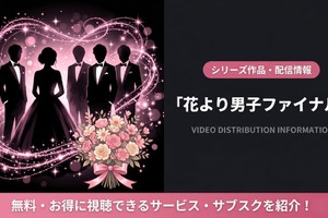 映画「花より男子ファイナル」の配信はどこで見れる？DMM TVで見放題！お得な視聴方法まとめ 画像