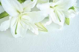 「名探偵コナン」毛利蘭役の声優・山崎和佳奈さんが逝去 原作者・青山剛昌が弔意伝える　蘭役後任は岡村明美さん 画像