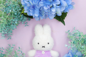 ミッフィーの誕生日を紫陽花とお祝い♪「OUTDOOR PRODUCTS」バッグなど新アイテムも！お花屋さん「フラワーミッフィー」 画像