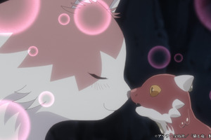 夏アニメ「猫と竜」母猫は、火吹き竜を我が子として育てることを決意する―第1話先行カット 画像
