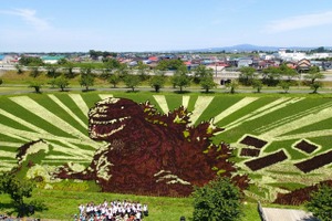「シン・ゴジラ」青森に現わる 田んぼアートの巨大ゴジラがついにお披露目 画像