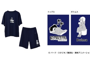 「ドラゴンボール」悟空、クリリン、ブルアらと“亀仙流”の修業だ☆リカバリーウェア登場で“よく動き　よく学び　よく遊び　よく食べて　よく休む”！ 画像