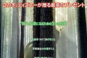 ディズニー実写最新作「ピートと秘密の友達」12月23日公開 少年の友情を描くファンタジー 画像