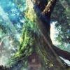 TVアニメ「異世界食堂」2017年夏より放送 アニメーション制作はSILVER LINK.・画像