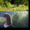 花澤香菜が地上波初の生出演　日本テレビ「スッキリ!!」で「こきゅうとす」披露・画像