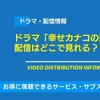 ドラマ「幸せカナコの殺し屋生活」の配信はどこで見れる？無料視聴できるサービス・サブスクを紹介！・画像