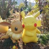 「ポケパーク カントー」でポケモンたちに大興奮！リアルすぎる森エリア「ポケモンフォレスト」を現地レポート・画像