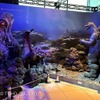 「ゴジラ」ド迫力!! 対峙するゴジラとへドラ、エビラがお出迎え！ホテルグレイスリー新宿に新ジオラマ登場・画像