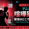 アニメ『喧嘩独学』の配信はどこで見れる？全話一番お得に視聴できるサブスクを徹底調査・画像